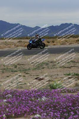 media/Jan-14-2023-SoCal Trackdays (Sat) [[497694156f]]/Turn 14 Exit Bloomig (145pm)/